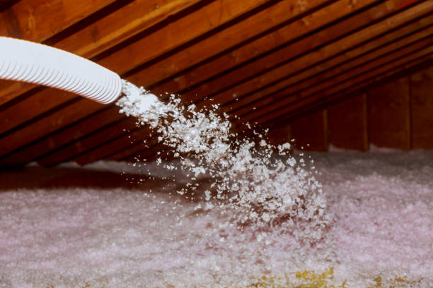 Trusted Aiken, SC Insulation Contractor Experts