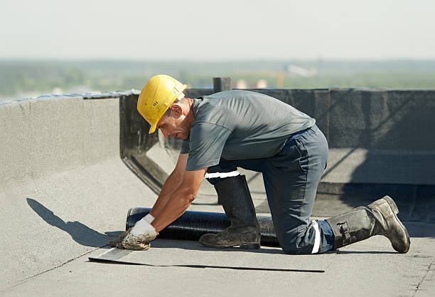 Best Geographic-Specific Insulation Services in Aiken, SC
